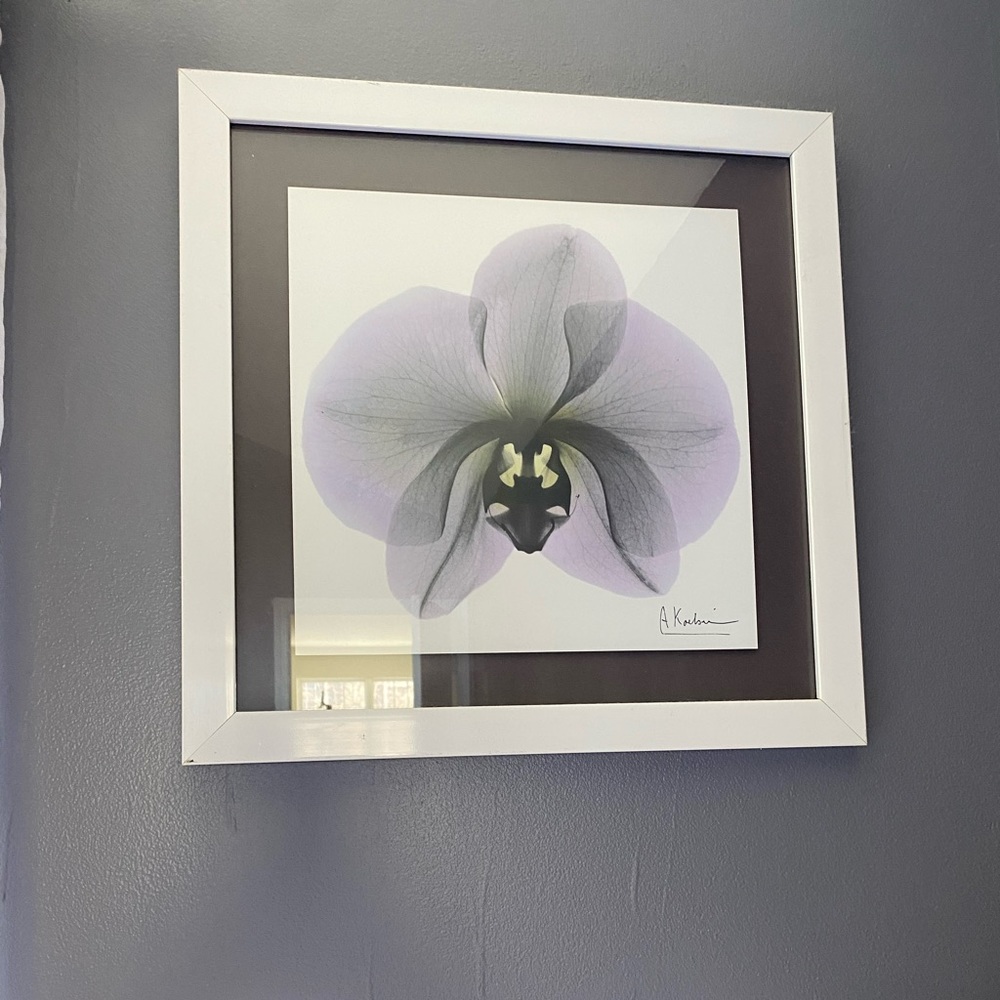 White framed purple flower picture